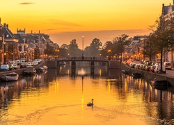 Domy nad kanałem Nieuwe Gracht w mieście Haarlem