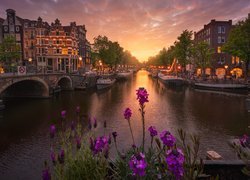 Domy nad kanałem w Amsterdamie w zachodzącym słońcu