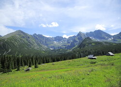 Domy pod lasem na wzgórzu z widokiem na Tatry