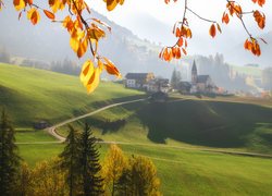 Dolina Val di Funes, Wieś Santa Maddalena, Góry, Lasy, Drzewa, Domy, Kościół, Gałązki, Liście, Włochy