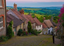 Anglia, Hrabstwo Dorset, Shaftesbury, Ulica, Domy, Roślinność