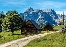 Domy w austriackiej gminie Johnsbach z widokiem na szczyt Tamischbachturm