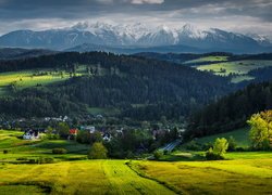 Góry, Tatry, Pieniny, Zalesione, Wzgórza, Domy, Polska