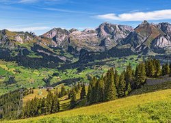 Góry, Alpy Berneńskie, Łąka, Drzewa, Dolina, Domy, Toggenburg, Szwajcaria