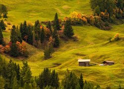 Płaskowyż, Seiser Alm, Dolina Val Gardena, Wzgórza, Łąki, Drewniane, Domy, Drzewa, Włochy