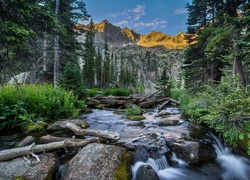 Stany Zjednoczone, Stan Kolorado, Indian Peaks Wilderness, Góry, Drzewa, Las, Rzeczka, Kamienie
