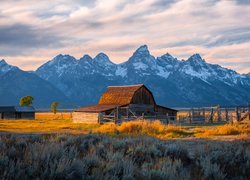 Stodoła, Drewniana, Chata, Góry Teton Range, Drzewa, Park Narodowy Grand Teton, Stan Wyoming, Stany Zjednoczone