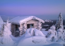 Zima, Śnieg, Zaspy, Drzewa, Świt, Chata, Poranek