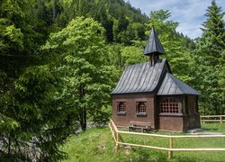 Kościół, Drzewa, Góry, Kaplica Hubertuskapelle, Bad Hindelang, Niemcy