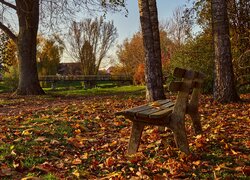 Drewniana ławka na opadłych liściach w parku