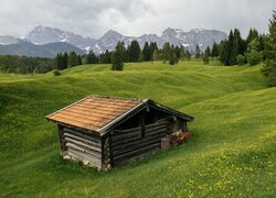 Drewniana szopa na łące i góry w oddali