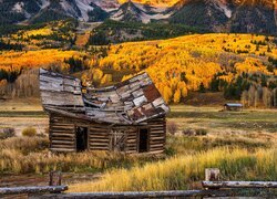Stany Zjednoczone, Kolorado, Crested Butte, Góry, Jesień, Drzewa, Szopa, Drewniana