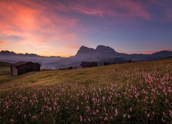 Płaskowyż Seiser Alm, Włochy, Góry Dolomity, Łąka, Kwiaty,  Drewniane, Chaty, Zachód słońca