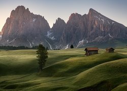 Włochy, Płaskowyż Seiser Alm, Dolina Val Gardena, Dolomity, Góry Sassolungo, Domki, Drzewa, Chmury