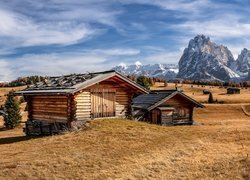 Płaskowyż Seiser Alm, Dolina Val Gardena, Góry Sassolungo, Dolomity, Wzgórza, Drewniane, Domki, Drzewa, Włochy