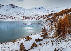 Drewniane domy i drzewa nad górskim jeziorem zimową porą