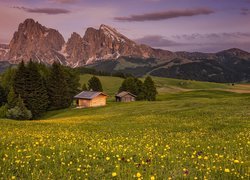 Dolomity, Góry Sassolungo, Płaskowyż Seiser Alm, Dolina, Val Gardena, Drzewa, Chmury, Drewniane, Domy, Łąka, Kwiaty, Włochy