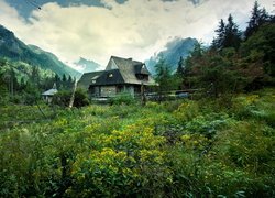 Drewniane domy na łące w górach