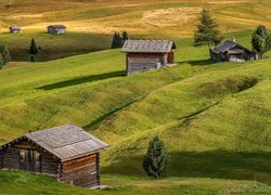 Płaskowyż Seiser Alm, Dolina Val Gardena, Wzgórza, Łąki, Drewniane, Domki, Drzewa, Włochy