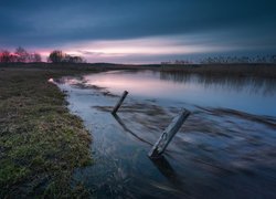 Drewniane kołki w rzece Supraśl na Podlasiu