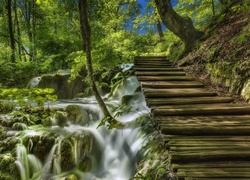 Drewniane schodki nad wodospadem w Parku Narodowym Jezior Plitwickich