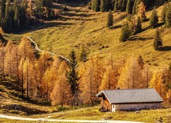 Jesień, Góry, Dom, Droga, Drzewa, Berchtesgaden, Bawaria, Niemcy