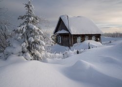Zima, Dom, Drzewa, Zaspy