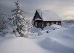 Drewniany dom i ośnieżone drzewa w zaspach