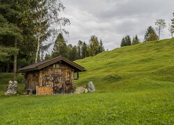 Drewniany domek i drzewa na łące na wzgórzu pod chmurami