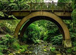 Stany, Zjednoczone, Stan Oregon, Ogród Botaniczny Crystal Springs Rhododendron Gardens, Most drewniany, Rzeka, Strumień, Drzewa