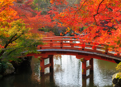 Drewniany most w japońskim parku wśród jesiennych drzew