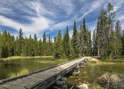 Park Narodowy Grand Teton, Stan Wyoming, Stany Zjednoczone, Jezioro, Drzewa, Drewniany, Most, Chmury