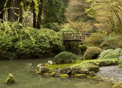 Drewniany mostek nad rzeczką w parku w amerykańskim mieście Portland