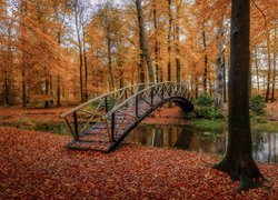 Drewniany mostek nad rzeką w jesiennym parku