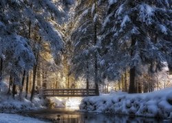 Drewniany mostek nad rzeką w parku