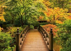 Ogród japoński, Park, Drzewa, Krzewy, Drewniany, Most, Staw, Portland, Oregon, Stany Zjednoczone