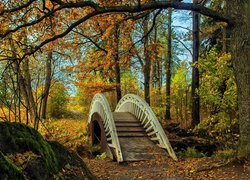 Drewniany mostek w jesiennym parku