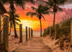 Zachód słońca, Plaża, Smathers Beach, Morze, Podest, Ogrodzenie, Palmy, Key West, Floryda, Stany Zjednoczone