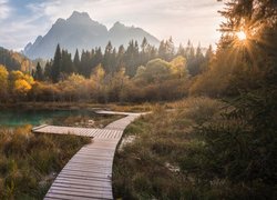 Słowenia, Kranjska Gora, Rezerwat przyrody Zelenci, Jezioro Zelenci, Góry, Lasy, Drewniany, Pomost