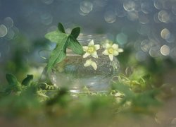 Drobne kwiatki i listki w szklanym wazoniku