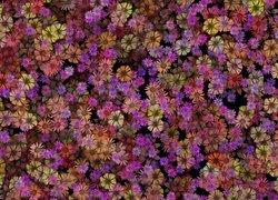Drobne kwiatki w teksturze