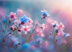 Drobne różowe i niebieskie kwiatki