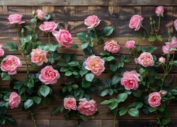 Drobne różowe różyczki na drewnianych deskach
