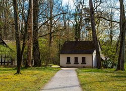 Droga do domów pod drzewami