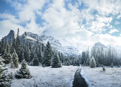 Zima, Góry, Canadian Rockies, Drzewa, Droga, Chmury, Park Narodowy Yoho, Kolumbia Brytyjska, Kanada