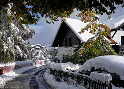 Domy, Śnieg, Zima, Drzewa