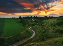 Droga, Zielone, Pola, Zachód słońca, Ponidzie, Grodzisko Stradów, Polska