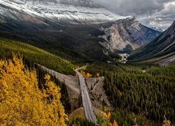 Droga, Icefields Parkway, Góry Skaliste, Lasy, Drzewa, Alberta, Kanada