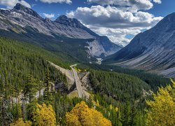 Góry Skaliste, Dolina, Lasy, Droga, Icefields Parkway, Drzewa, Alberta, Kanada