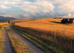 Droga między polami w Toskanii